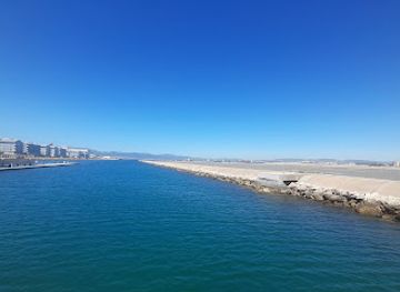gibraltar/western-beach/landmark/dolphin-adventure