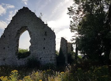 ireland/county-kildare/landmark/the-grey-abbey