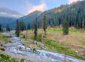 Janshae Meadows