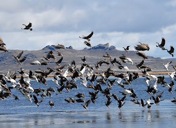 oregon/klamath-basin/landmark/tule-lake-national-wildlife-refuge