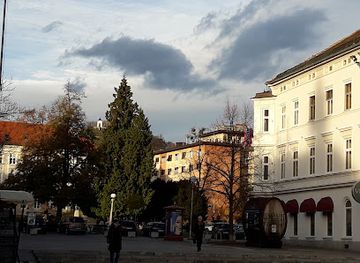 slovenia/maribor/landmark/trg-leona-stuklja
