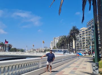 chile/vina-del-mar/landmark/vina-del-mar-chile