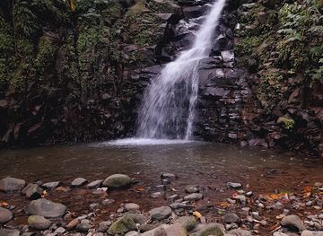 saint-lucia/vieux-fort-quarter/landmark/enbas-saut-waterfalls