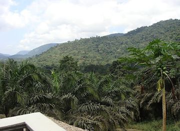 equatorial-guinea/litoral/landmark/parque-nacional-del-monte-alen