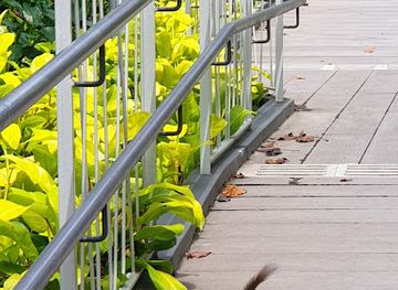 singapore/holland-village/landmark/former-forfar-house