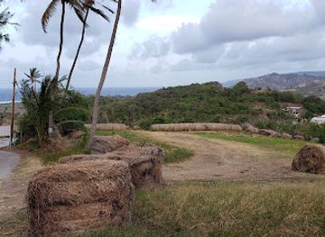 barbados/paynes-bay/landmark/morgan-lewis-windmill