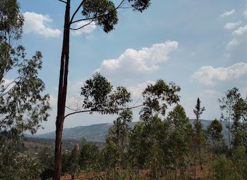 rwanda/northern-province/landmark/rwandasnatureexperiance