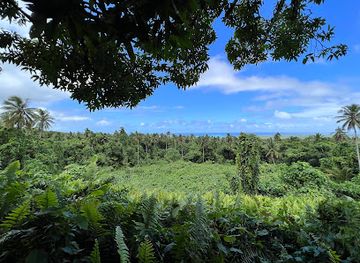 samoa/vaisigano/landmark/pulemelei-ancient-mound