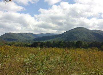 north-carolina/great-smoky-mountains/landmark/henry-whitehead-house