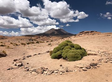 bolivia/amazon-basin/landmark/salvador-dali-desert