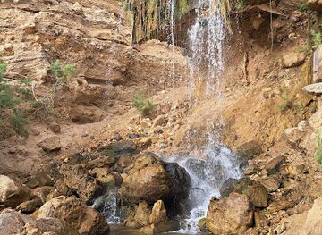 jordan/hamamat-ma-in/landmark/dead-sea-free-hot-springs