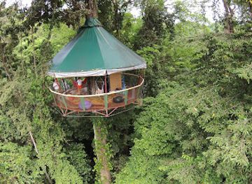 costa-rica/limon/landmark/the-amazing-treehouse-and-nature-observatorio-in-manzanillo-limon-costa-rica