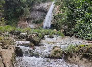 bolivia/yungas/landmark/espejillos