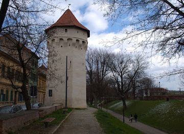 romania/transylvania/landmark/harquebusiers-tower