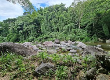 jamaica/santa-cruz-mountains/landmark/castleton-botanical-gardens