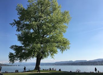 switzerland/zurich-lake/landmark/chinagarten-zurich