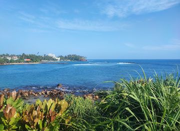 sri-lanka/matara-district/landmark/parrot-rock