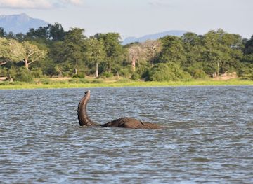 malawi/zomba/landmark/mvuu-camp
