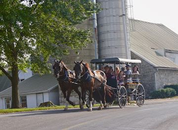 pennsylvania/amish-country/landmark/aaa-buggy-rides