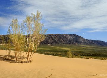 kazakhstan/altyn-emel-national-park/landmark/poyushchiy-barkhan