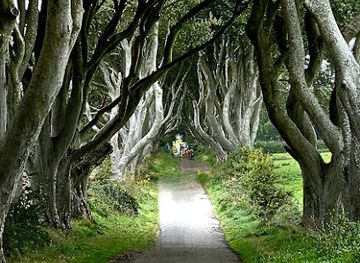 united-kingdom/northern-ireland/landmark/the-dark-hedges