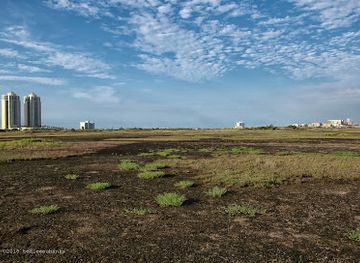 texas/galveston/landmark/east-end-lagoon-nature-preserve