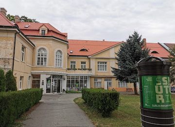 slovakia/trnava/landmark/jan-koniarek-gallery