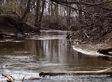 indiana/indiana-dunes-national-park/landmark/indiana-dunes-national-park-heron-rookery