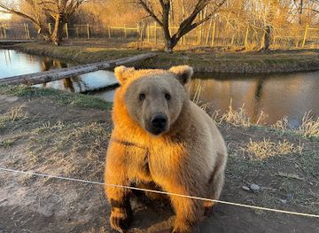 idaho/rexburg/landmark/yellowstone-safari-park