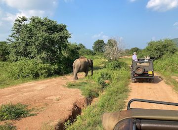 sri-lanka/trincomalee-district/landmark/pigeon-island-tours