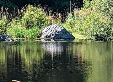 rhode-island/trustom-pond-national-wildlife-refuge/landmark/norman-bird-sanctuary