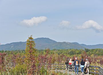 canada/eastern-townships/landmark/marais-de-la-riviere-aux-cerises