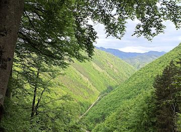 austria/kalkalpen-national-park/landmark/rastplatz-rundweg-tal-des-holz