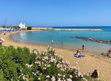 cyprus/fig-tree-bay/landmark/kalamies-beach