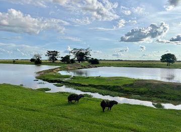 colombia/los-llanos/landmark/wild-llanos-tours-safaris