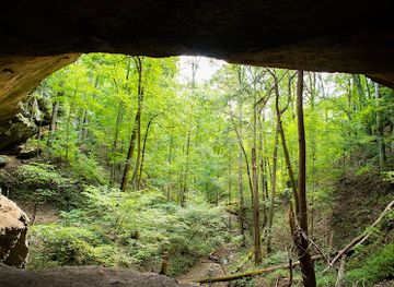 indiana/hoosier-national-forest/landmark/hemlock-cliffs