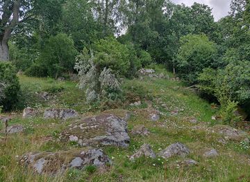 sweden/vastergotland/landmark/opensten