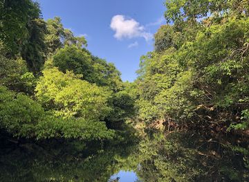 australia/daintree-rainforest/landmark/daintree-boatman-wildlife-cruises