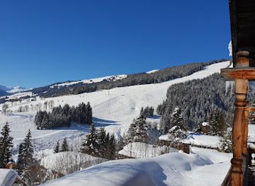 austria/saalbach-hinterglemm/landmark/hinterhag-alm