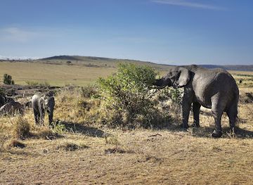 kenya/amboseli-national-park/landmark/maasai-mara-national-reserve