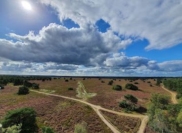 netherlands/veluwe-national-park/landmark/elspeetse-heide