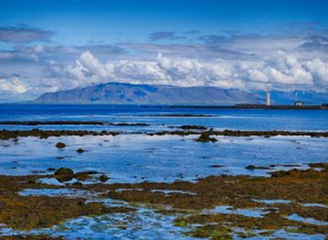 iceland/north-iceland/landmark/suournesvaroa