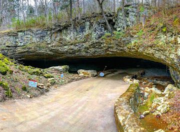 tennessee/sequatchie-valley/landmark/the-caverns