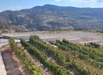 cyprus/troodos/landmark/oenou-yi