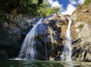 puerto-rico/south-region/landmark/hacienda-buena-vista-para-la-naturaleza