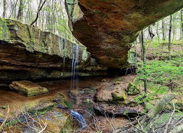ohio/wayne-national-forest/landmark/rockbridge-state-nature-preserve
