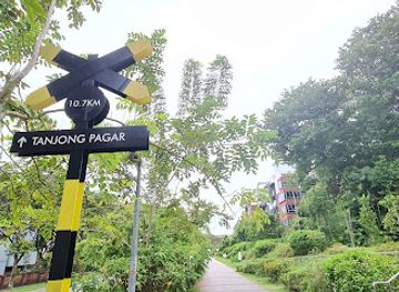 singapore/bukit-timah-nature-reserve/landmark/jalan-bangket-garden