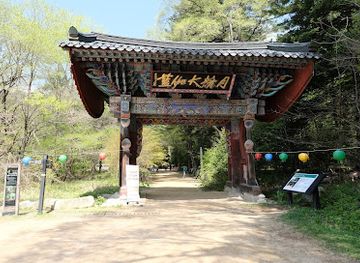 south-korea/yeongseo-region/landmark/woljeongsa-temple-fir-tree-forest