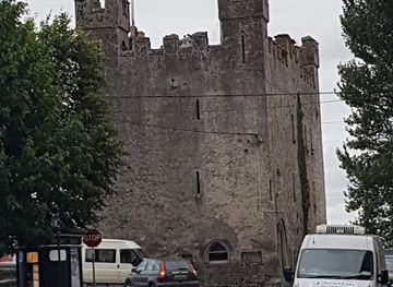 ireland/county-kildare/landmark/ernest-shackleton-memorial