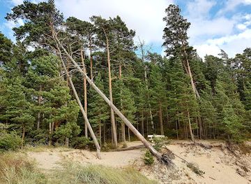 latvia/pape-nature-reserve/landmark/pusenu-kapa